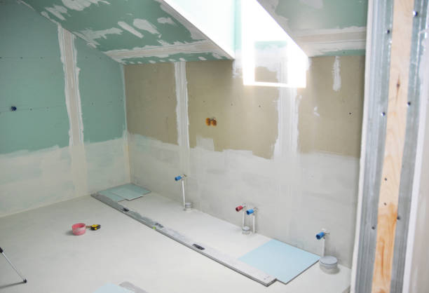 Best Basement Mold Removal  in Boyce, LA