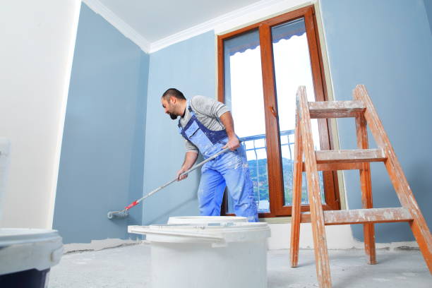 Best Mold Documentation for Insurance Claims  in Boyce, LA