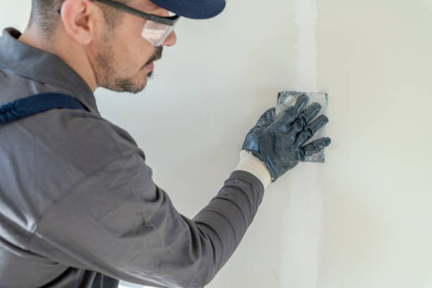 Best Air Quality Testing for Mold Spores  in Boyce, LA