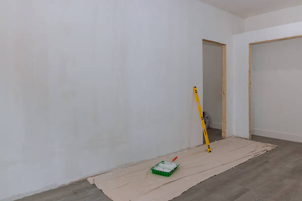 Professional Mold Removal in Boyce, LA