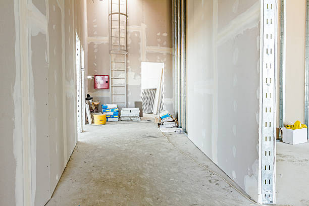 Mold Remediation for Vacation Homes in Boyce, LA